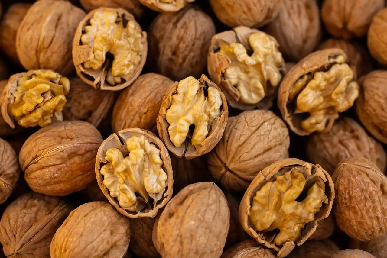 Walnut trees in Chitral